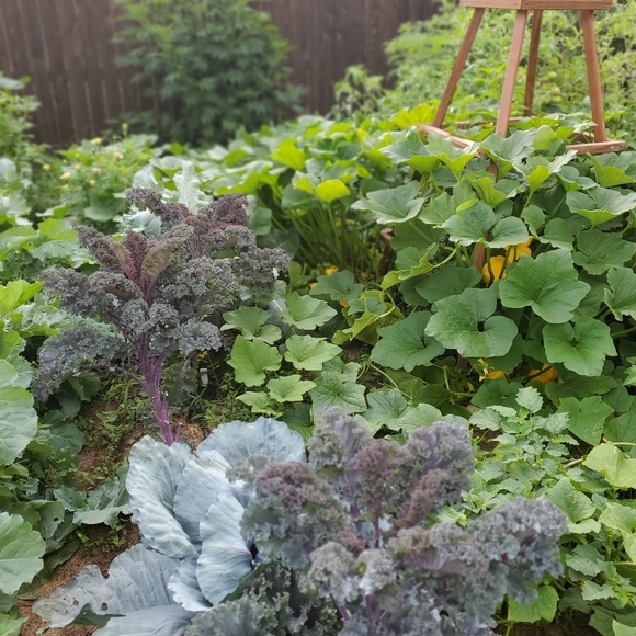 Meet your Posher, Jackie - Picture 2 of 4